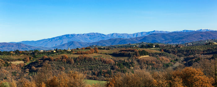 Tuscany hills rural countryside landscape, cypress passages and vineyards. wheat, olives cultivation