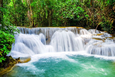 View of waterfall in forest