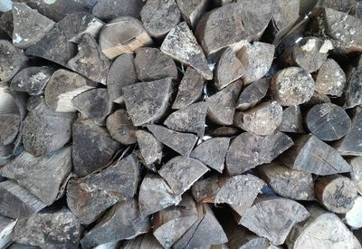 Full frame shot of leaves