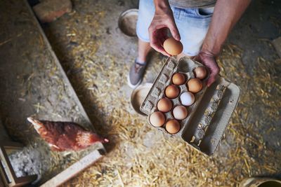 High angle view of man preparing food