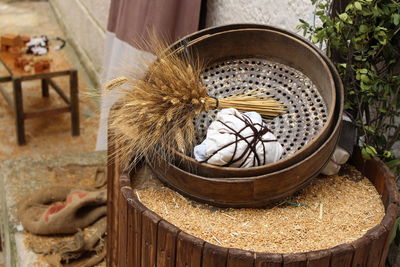 High angle view of ear of wheat on utensils 