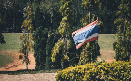 Scenic view of flag amidst trees in forest