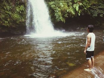 View of waterfall in forest