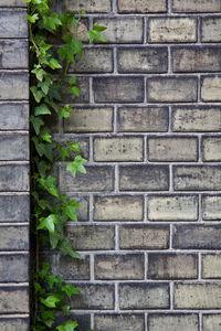 Close-up of brick wall