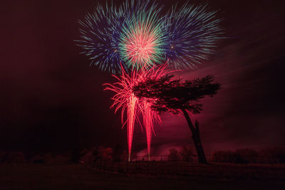 Low angle view of firework display at night