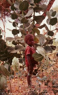 Full length of cute boy standing on leaves