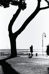 Railing with trees in background