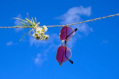 Low angle view of red flower hanging against sky