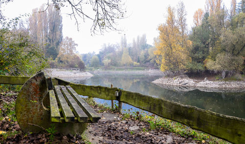 Scenic view of lake in forest during autumn