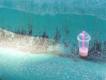 Close-up of jellyfish in swimming pool