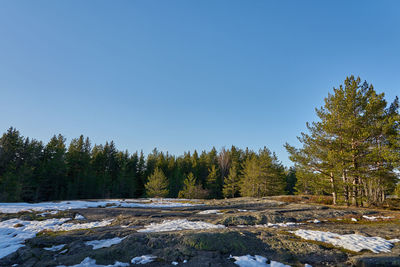 Scenic view of snow covered land against clear blue sky