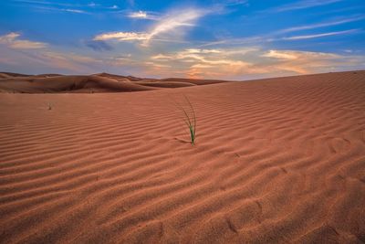 Scenic view of desert against sky during sunset