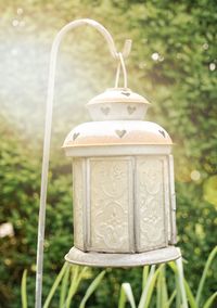 Close-up of lantern hanging on plant in field