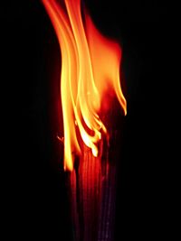 Close-up of fire in the dark