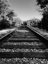 Railroad tracks amidst trees against clear sky