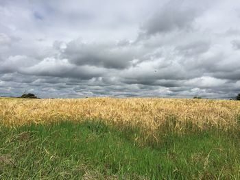 Scenic view of field against cloudy sky
