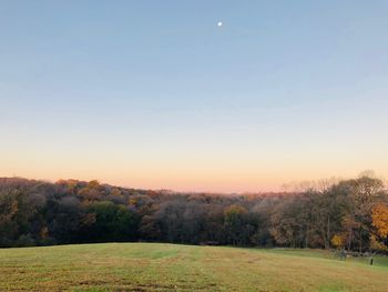 Scenic view of field against clear sky during sunset