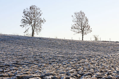 Bare tree on snow covered field against sky