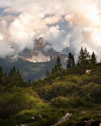 Scenic view of trees and mountains against sky