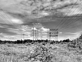 power line