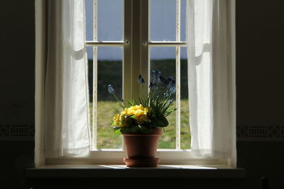 Flower vase on window sill