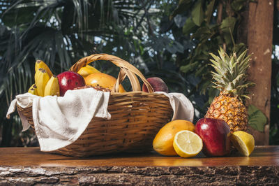 Fruits on table against trees