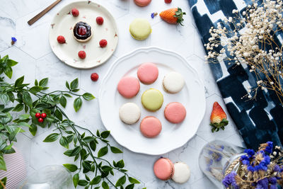 High angle view of fruits on table