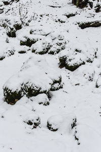 High angle view of snow covered water