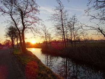 Scenic view of bare trees against sky during sunset