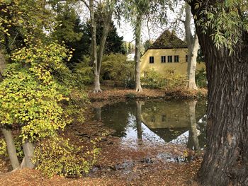 Reflection of trees on lake by building