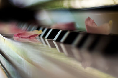 Close-up of piano keys