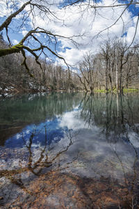 Scenic view of lake in forest against sky