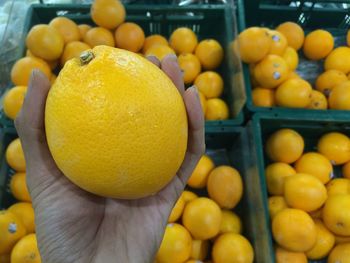 Close-up of fruits for sale at market stall