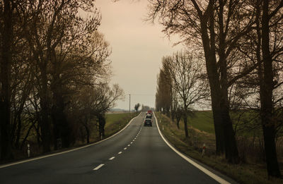 Empty road along trees