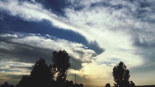 Low angle view of silhouette trees against sky