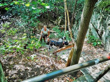 People on tree trunk amidst plants in forest