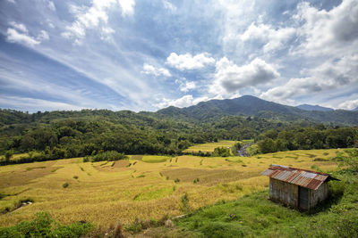 Scenic view of field against sky