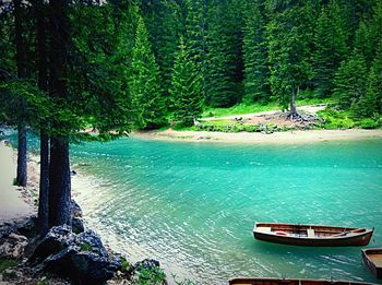 Reflection of trees in water