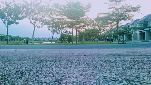 Empty road by trees in city against sky