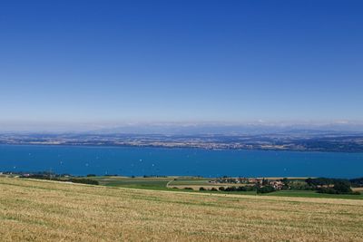 Scenic view of field against clear blue sky