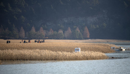 Scenic view of agricultural field by lake