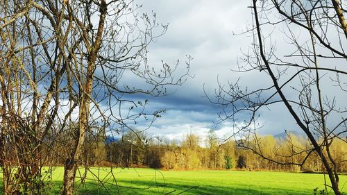 Scenic view of field against cloudy sky