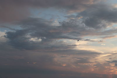 Low angle view of airplane flying in sky during sunset