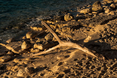 High angle view of rocks on beach