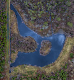 High angle view of trees by lake