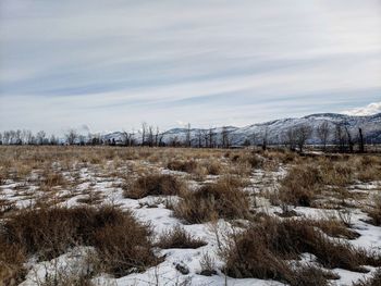 Snow covered field against sky