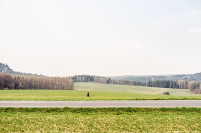 People on grassy field