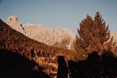 Shadow of man on trees against mountains
