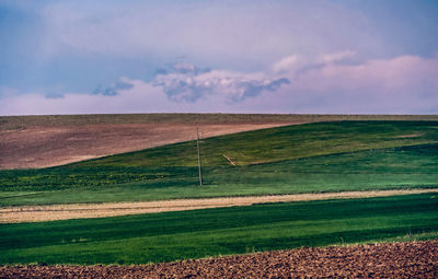 Scenic view of agricultural field against sky