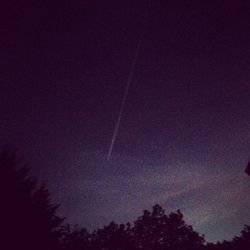 Low angle view of trees against sky at night